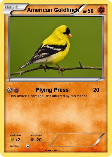Pokemon American Goldfinch