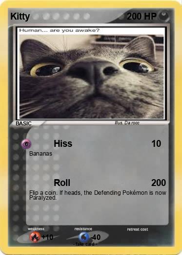 Pokemon Kitty