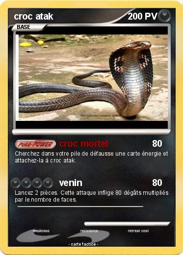 Pokemon croc atak