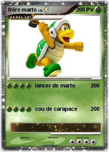 Pokemon frère marto