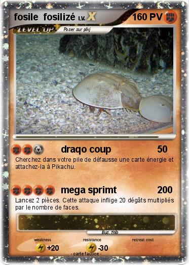 Pokemon fosile  fosilizé