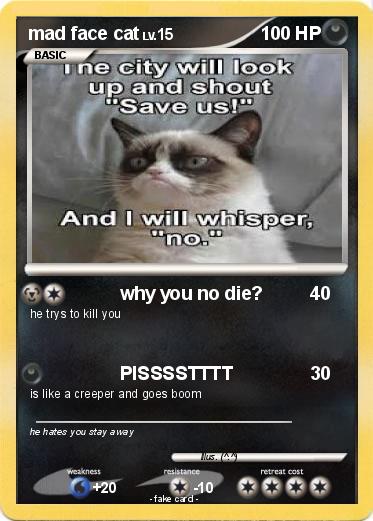 Pokemon mad face cat