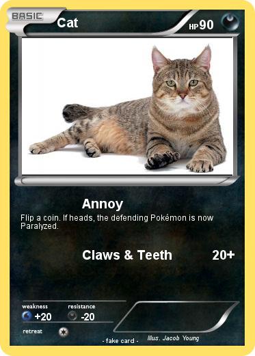 Pokemon Cat