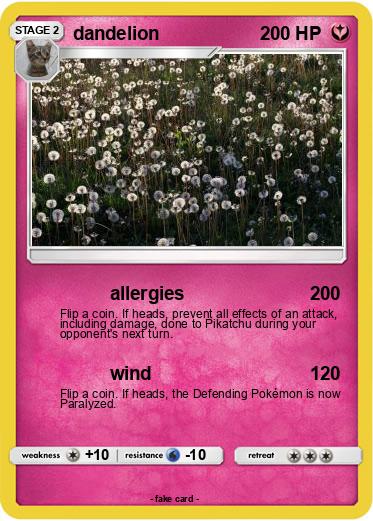 Pokemon dandelion