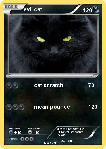 Pokemon evil cat