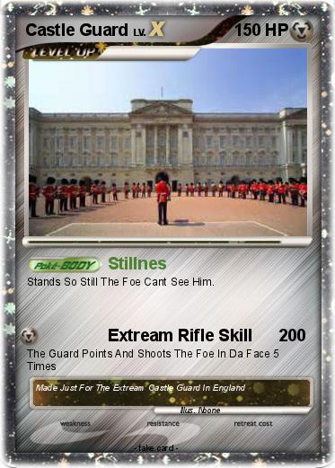 Pokemon Castle Guard