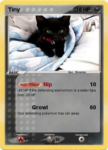 Pokemon Tiny