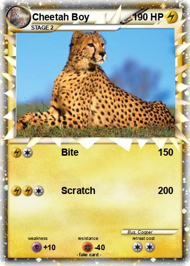 Pokemon Cheetah Boy