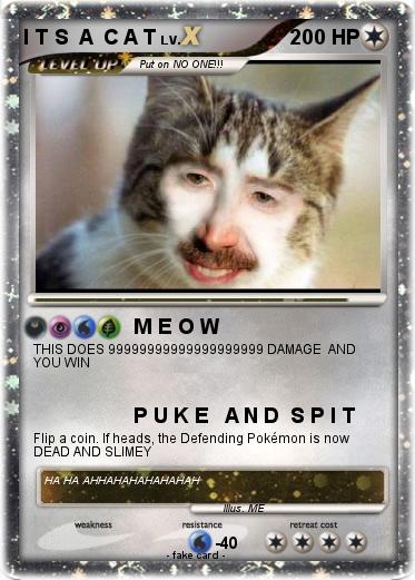 Pokemon I T S  A  C A T