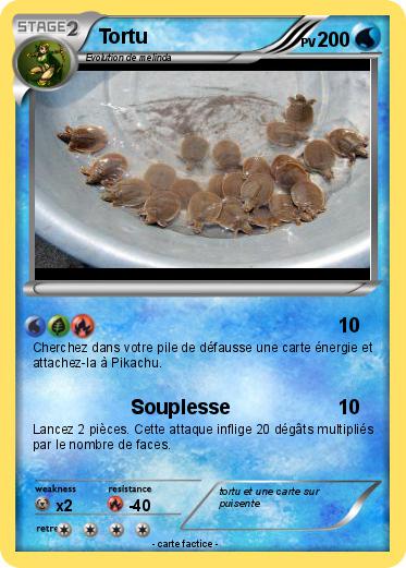 Pokemon Tortu