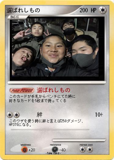 Pokemon 選ばれしもの