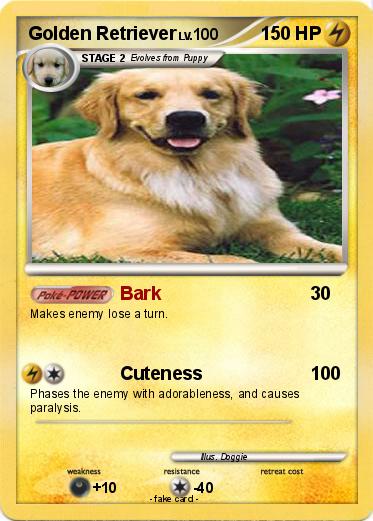 Pokemon Golden Retriever