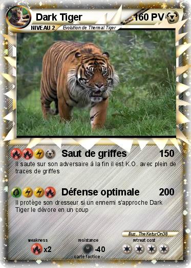 Pokemon Dark Tiger