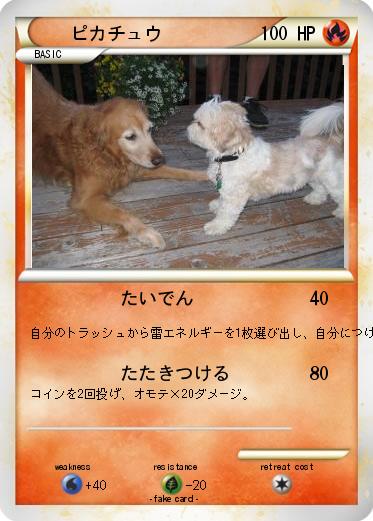 Pokemon ピカチュウ