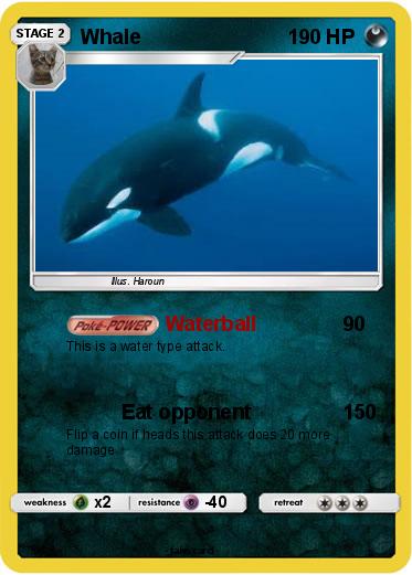 Pokemon Whale