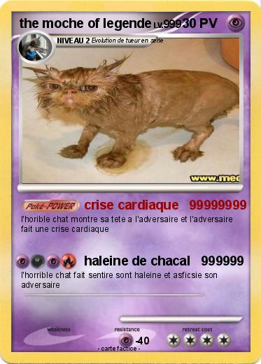 Pokemon the moche of legende