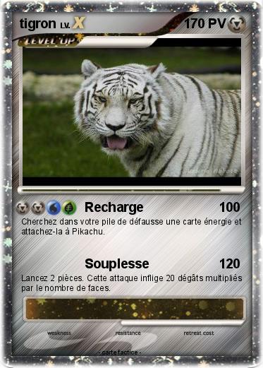 Pokemon tigron