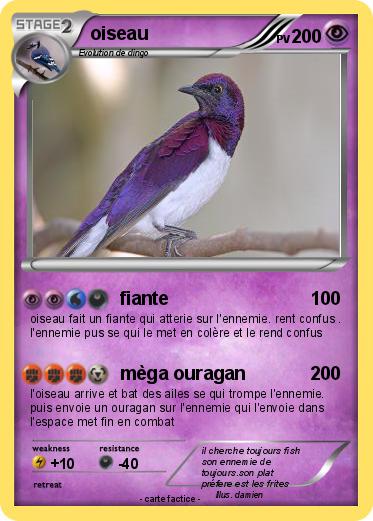 Pokemon oiseau