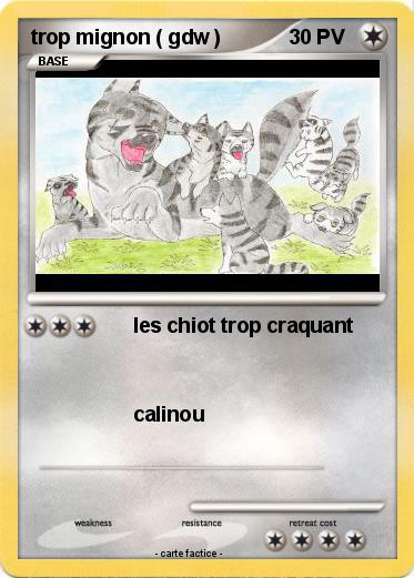 Pokemon trop mignon ( gdw )