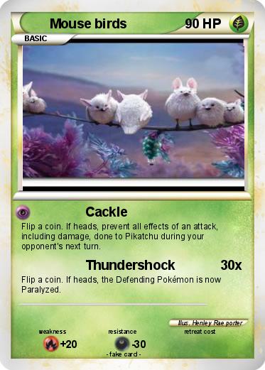Pokemon Mouse birds