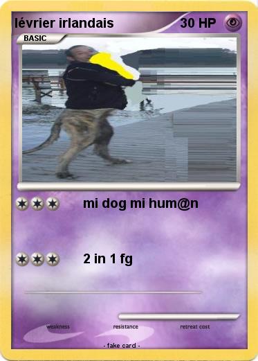 Pokemon lévrier irlandais