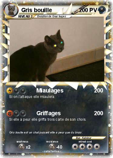 Pokemon Gris bouille