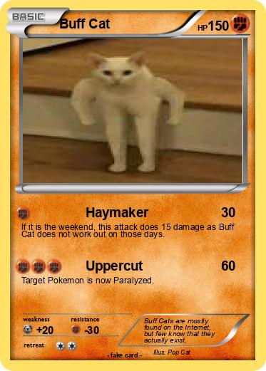 Pokemon Buff Cat