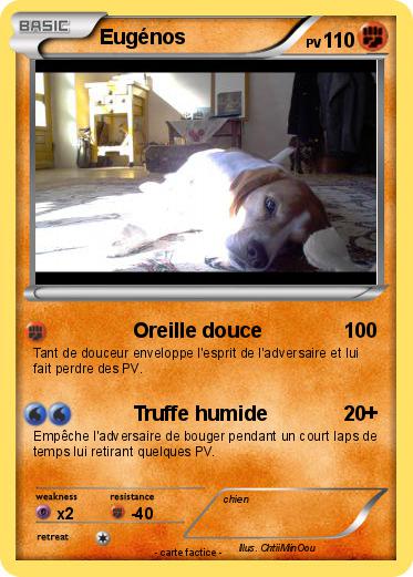 Pokemon Eugénos