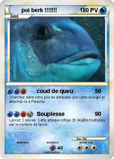 Pokemon poi berk !!!!!!!