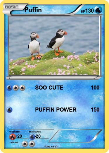 Pokemon Puffin