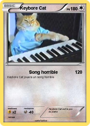 Pokemon Keybore Cat