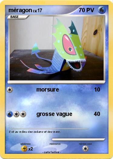 Pokemon mèragon