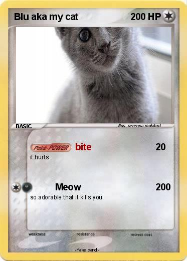 Pokemon Blu aka my cat