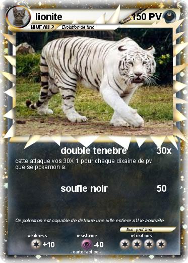 Pokemon lionite