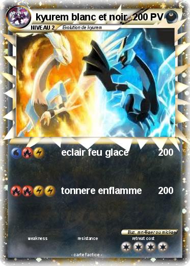 Pokemon kyurem blanc et noir