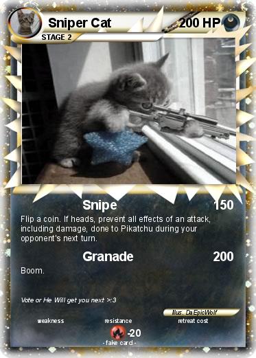 Pokemon Sniper Cat