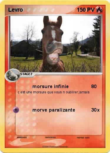 Pokemon Levro 
