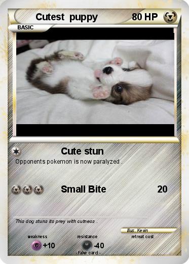 Pokemon Cutest  puppy