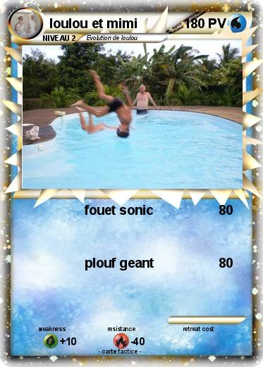 Pokemon loulou et mimi