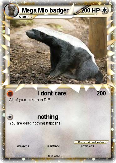Pokemon Mega Mio badger