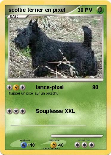 Pokemon scottie terrier en pixel