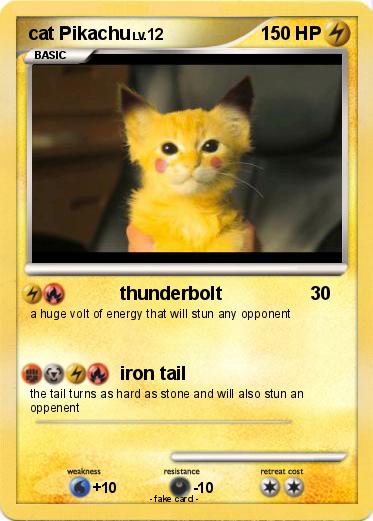 Pokemon cat Pikachu