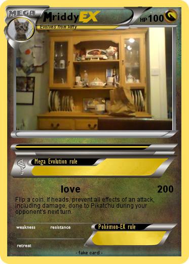 Pokemon riddy