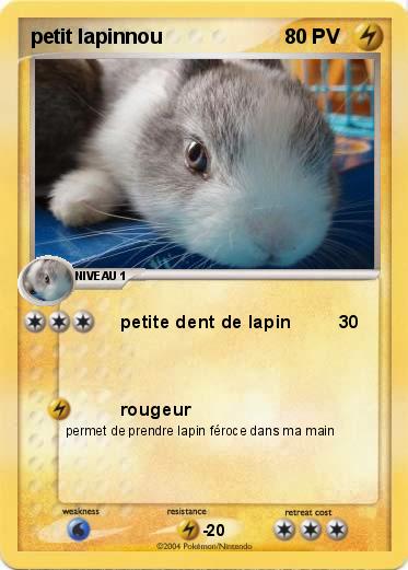 Pokemon petit lapinnou 