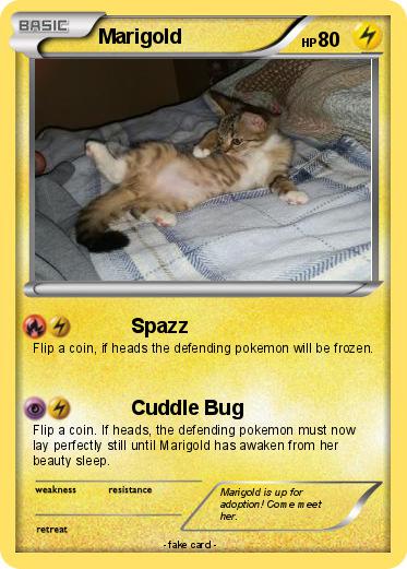 Pokemon Marigold