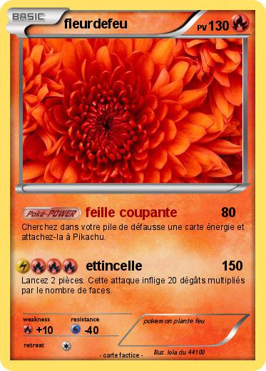 Pokemon fleurdefeu