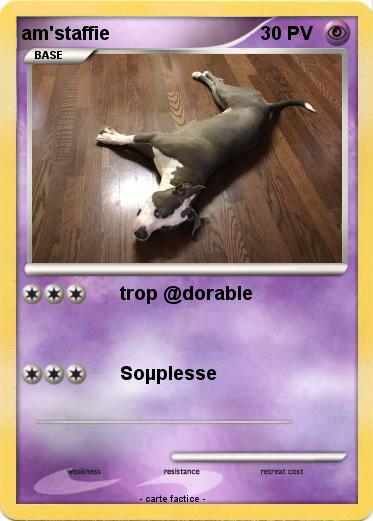 Pokemon am'staffie