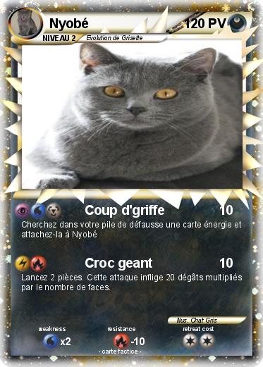 Pokemon Nyobé