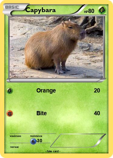 Pokemon Capybara
