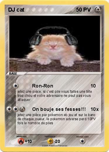 Pokemon DJ cat
